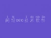 阿坝seo技术软件，软件优化网站