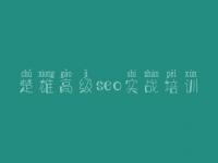 楚雄高级seo实战培训，建设网站免费