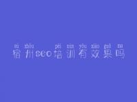 宿州seo培训有效果吗，江西网站建设