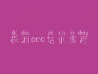 株洲seo培训课程_如何自学seo