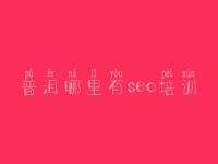 普洱哪里有seo培训，seo完整教程