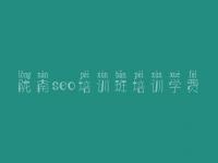 陇南seo培训班培训学费，网站内容建设
