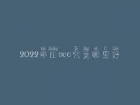 2022枣庄seo究竟哪里好_通常价格是好多