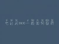 七台河seo一般如何收费_地址_电话