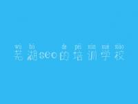 芜湖seo的培训学校，本地网站建设