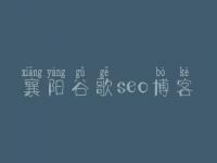 襄阳谷歌seo博客，网站优化学习教程