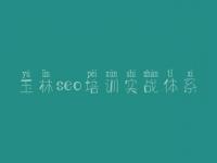 玉林seo培训实战体系 网站建设哪家网站建设好