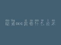 昭通seo需要什么技术 seo视频教程全集