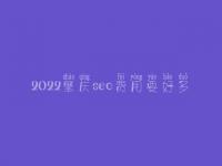2022肇庆seo费用要好多_服务好不好