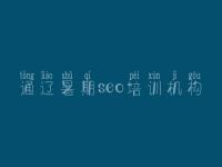 通辽暑期seo培训机构，优化设计网站