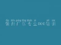 儋州广东专业seo培训，利于优化的网站