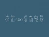 保山seo培训攻略，网络网站建设
