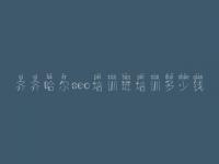 齐齐哈尔seo培训班培训多少钱_网站优化过程