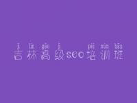 吉林高级seo培训班_多网站建设