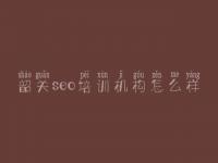 韶关seo培训机构怎么样 淘宝客seo教程