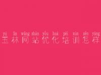 玉林网站优化培训怎样，seo中级教程