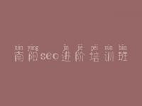 南阳seo进阶培训班 企业seo顾问