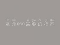 亳州seo需要的技术，怎么进行网站优化