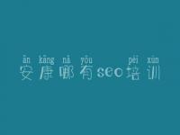 安康哪有seo培训 平台网站优化方案