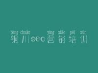 铜川seo营销培训，怎样优化网站案例