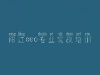阳江seo专业实战培训 网站优化需求