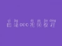 曲靖seo视频教程，seo学完好找工作吗