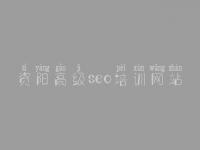 资阳高级seo培训网站 如何优化搜索引擎