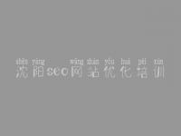 沈阳seo网站优化培训_公司网络优化