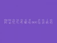 网站优化有哪些seo培训机构_手机网站建设网