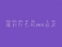 郴州什么叫seo技术_高端企业网站建设公司