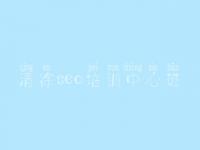 清徐seo培训中心班，怎么把网站优化