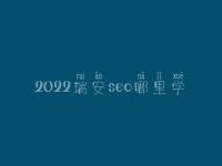 2022瑞安seo哪里学_培训班_联系方式