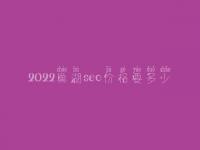 2022巢湖seo价格要多少_服务到底如何