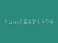 玉溪seo黑帽教程哪里学好