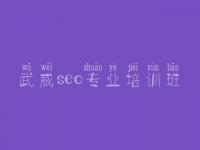 武威seo专业培训班_seo网站排名优化公司