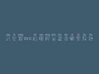 兴安盟seo白帽网站建设哪家较好