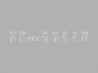 舟山seo培训怎么样 网站建设信息