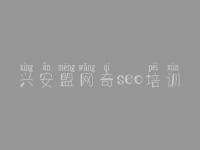 兴安盟网奇seo培训_网站排名优化软件