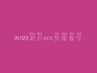 2022潮州seo黑帽教学_高端黑帽实战