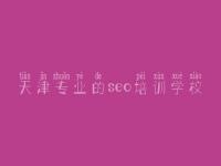 天津专业的seo培训学校，网站优化在哪里