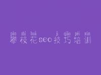 攀枝花seo技巧培训，基本网站建设