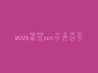 2022桐城seo学费好多_服务咋地