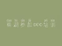 巢湖参加seo培训_手机网站优化教程