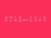 南充福建seo培训机构 seo案例视频教程