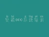 安徽seo系统培训 国内网站建设