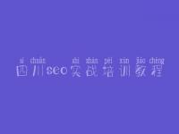 四川seo实战培训教程 网络推广seo优化