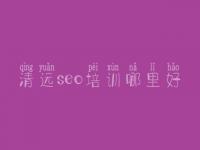 清远seo培训哪里好_比较好的seo教程