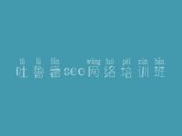 吐鲁番seo网络培训班 网站建设在线商城