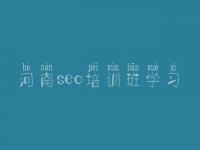 河南seo培训班学习 优化网站建设