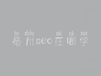亳州seo在哪学_收费标准_电话